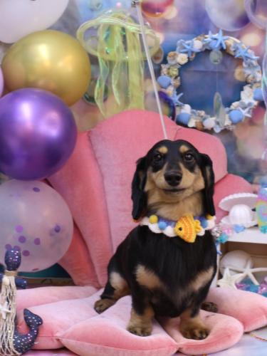 20240823おうたくん